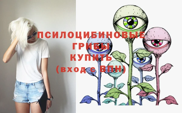 эйфоретик Абинск