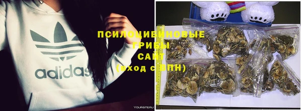 не бодяженный Алексин